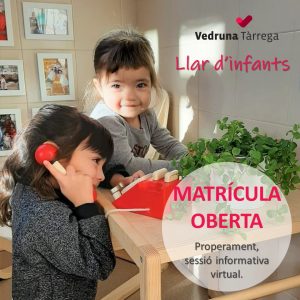 web PREINS LLAR matrícula OBERTA